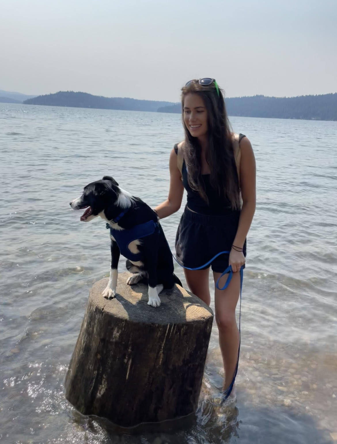 Loki on a stump in Coeur d'Alene Lake
