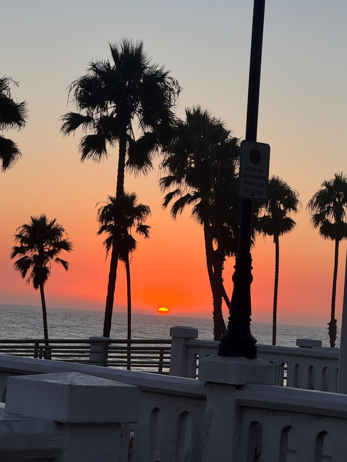 Sun setting over the Pacific behind palm trees